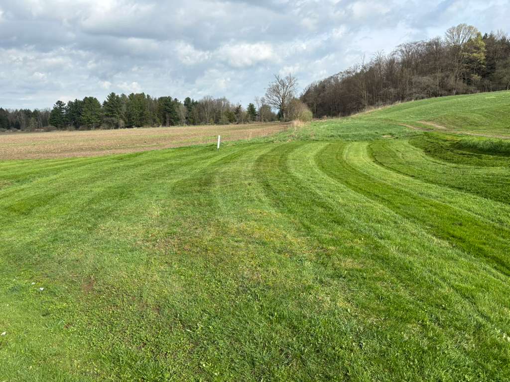 Lawn Maintenance
