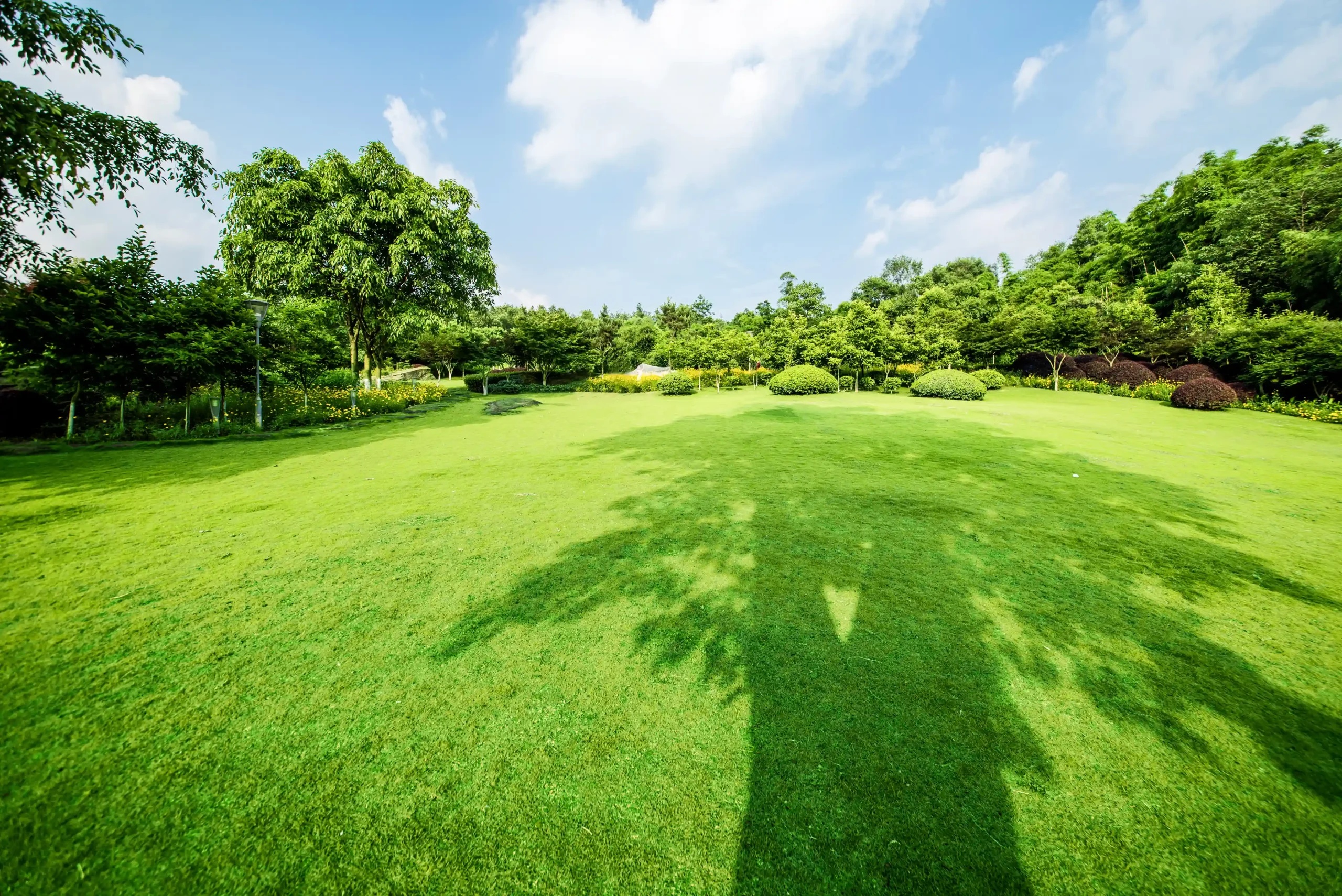geotagged-grassland-landscape-greening-environment-park-background-scaled